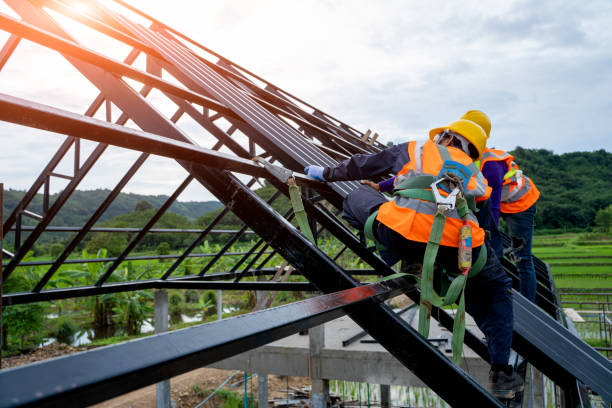 Best Roof Replacement Cost  in Maysville, NC