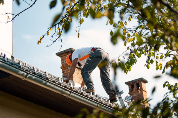 Quick and Trustworthy Emergency Roof Repair Services in Maysville, NC