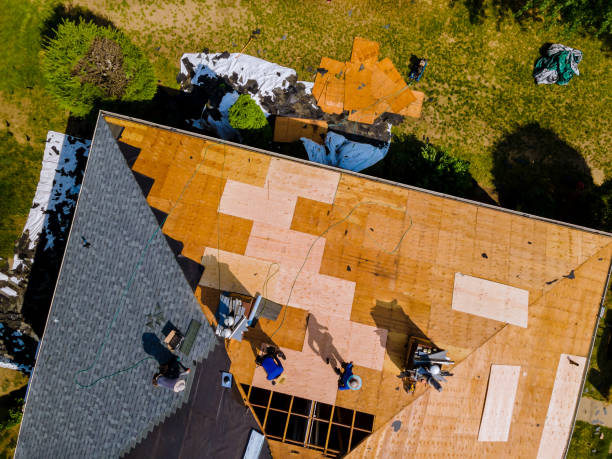 Best Metal Roofing Contractor  in Maysville, NC