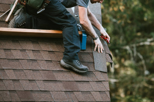 Best Emergency Roof Repair  in Maysville, NC